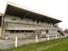 tribune-1