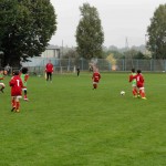 u11 (1)
